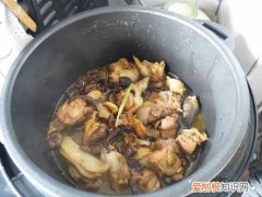 电压力锅炖鸡教程 炖鸡加什么料入味