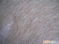 金属丝面料有什么特点 金属面料该怎样洗涤呢