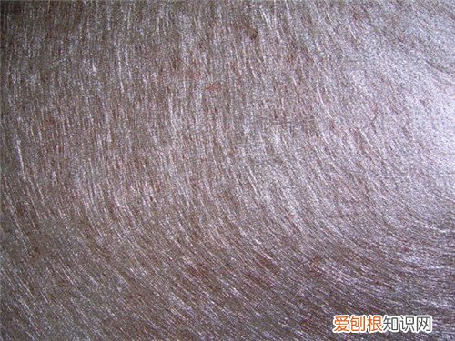 金属丝面料有什么特点 金属面料该怎样洗涤呢