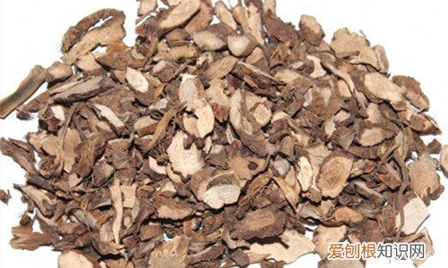 石菖蒲的功效是什么 哪些人不能食用石菖蒲