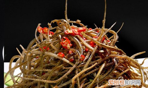 海龙的功效与作用海龙家常菜做法分享