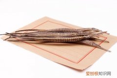 海龙的功效与作用海龙家常菜做法分享