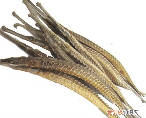 海龙的功效与作用海龙家常菜做法分享