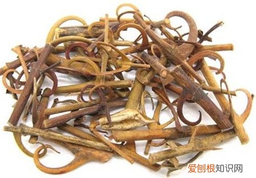 钩藤的作用与功效新生儿可以吃钩藤吗