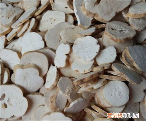 天花粉的功效与作用有哪些 天花粉可以怎么吃