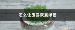 玉露黑了能恢复吗 怎么让玉露恢复绿色，发黑干瘪了怎么办