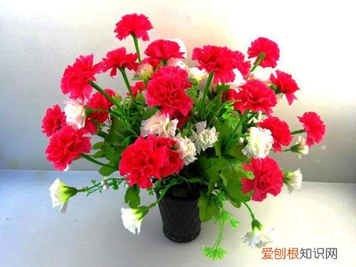 康乃馨花束图片及制作方法如何养护康乃馨花束