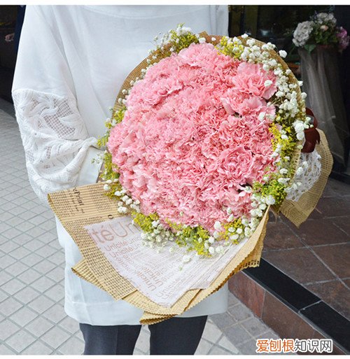 康乃馨花束图片及制作方法如何养护康乃馨花束
