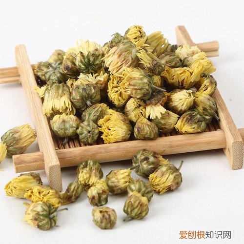杭白菊的功效介绍 杭白菊和胎白菊哪个更有效