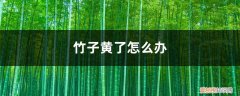 竹子发黄了怎么办放什么药 竹子发黄了怎么办