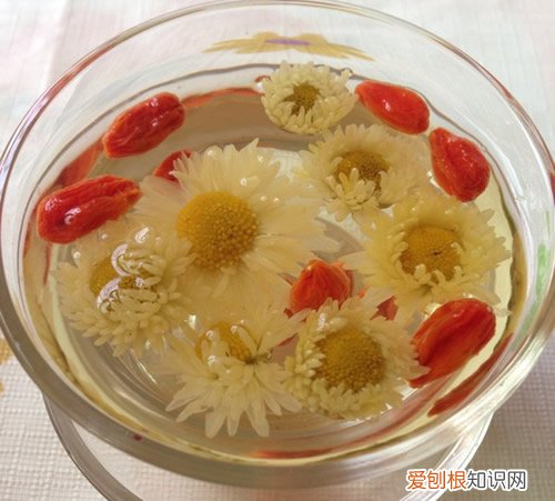 白菊花的功效2017 白菊花泡水喝有哪些禁忌