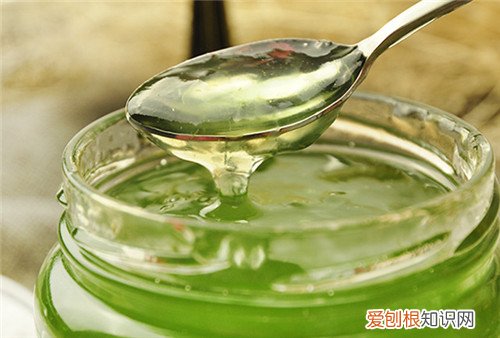 芦荟茶好喝吗 喝芦荟茶对身体有什么好处