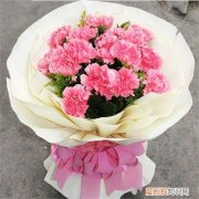 送康乃馨代表什么康乃馨多少钱一束