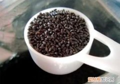 兰香子的功效有哪些 如何正确的食用兰香子