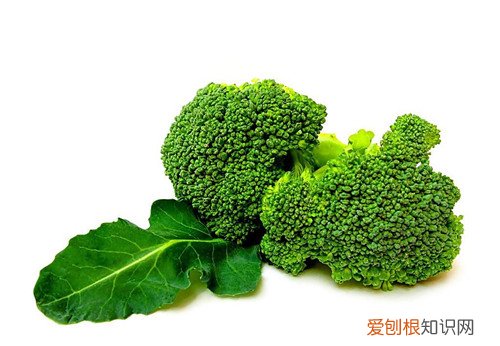 西兰花花语是什么 西兰花与什么东西不好吃