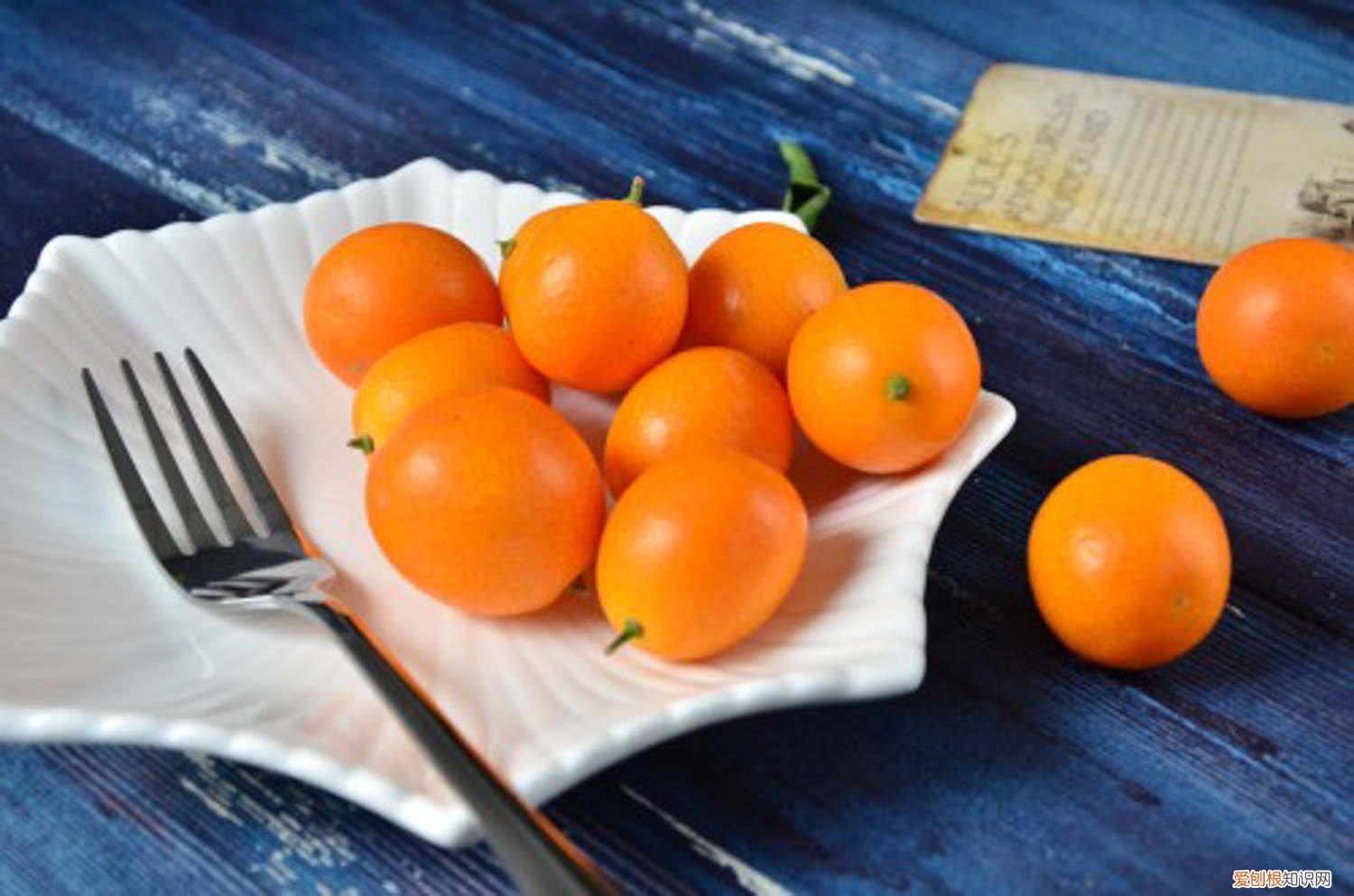 金桔树叶子发黄怎么补救 金桔树叶子发黄怎么办