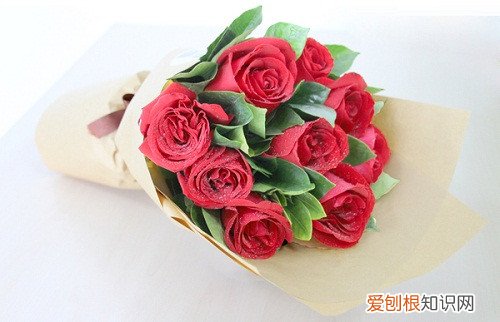 9朵玫瑰花语是什么 玫瑰花还有哪些作用