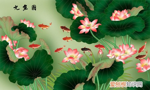 九鱼荷花图挂那里合适 怎样选择一幅好看的图