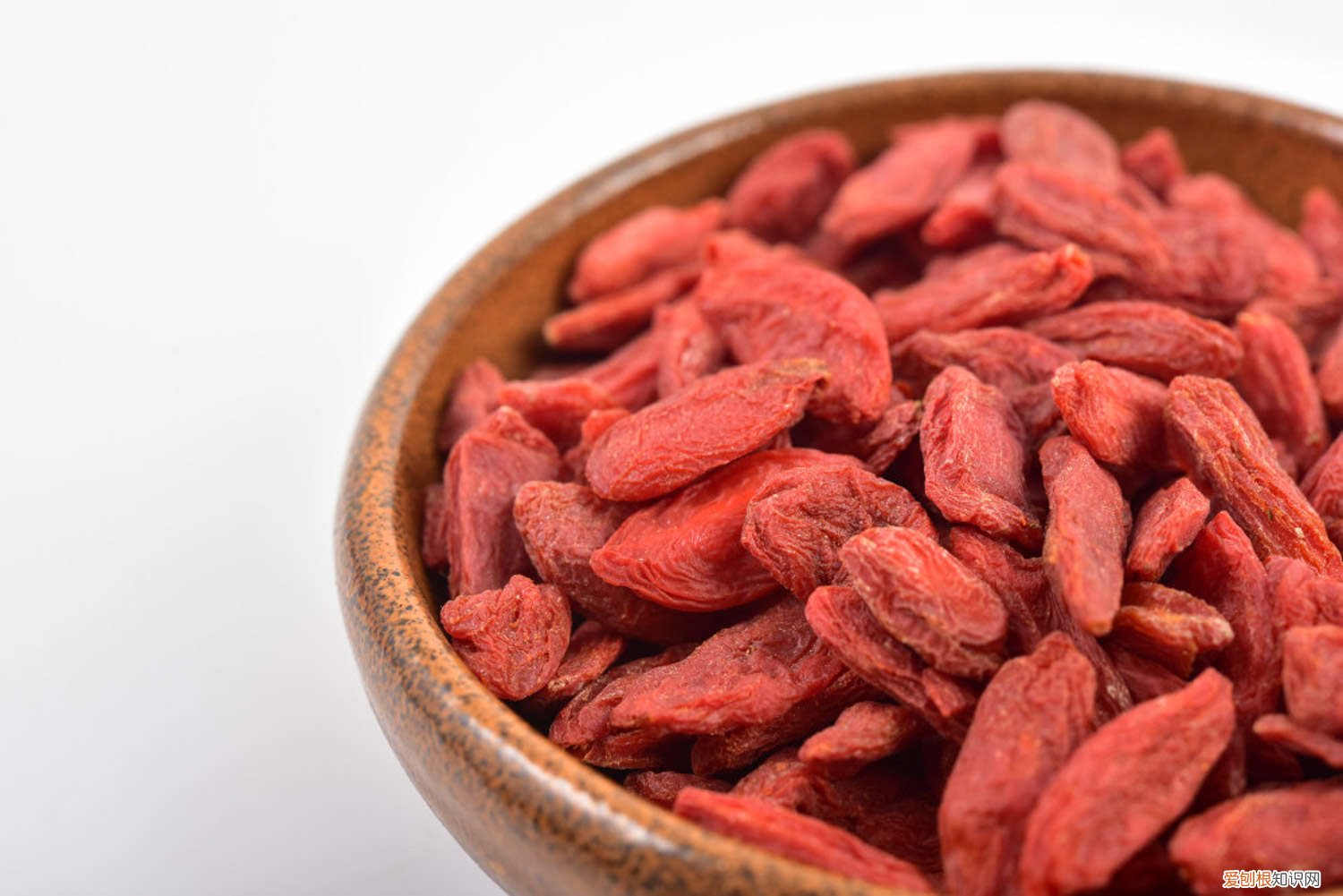 枸杞子盆景叶黄落叶怎么办呢 枸杞子盆景叶黄落叶怎么办