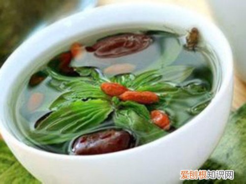 车前草图及食用方法长期服用车前草有没有副作用
