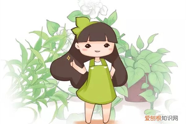 养花10年不黄叶,只是因为做了这个