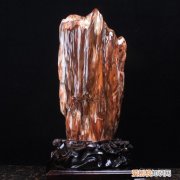 树化石图片与价格分析树化石有收藏价值吗