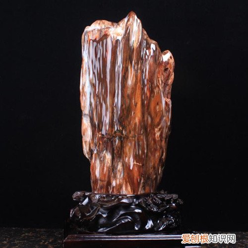 树化石图片与价格分析树化石有收藏价值吗