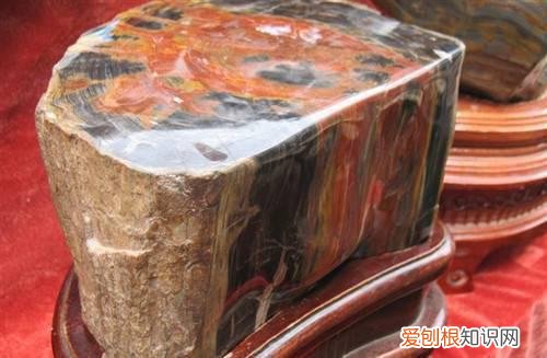 树化石图片与价格分析树化石有收藏价值吗