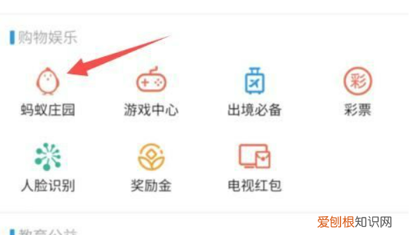 蚂蚁庄园咋滴才可以捐赠爱心，蚂蚁庄园淘金币任务怎么没了