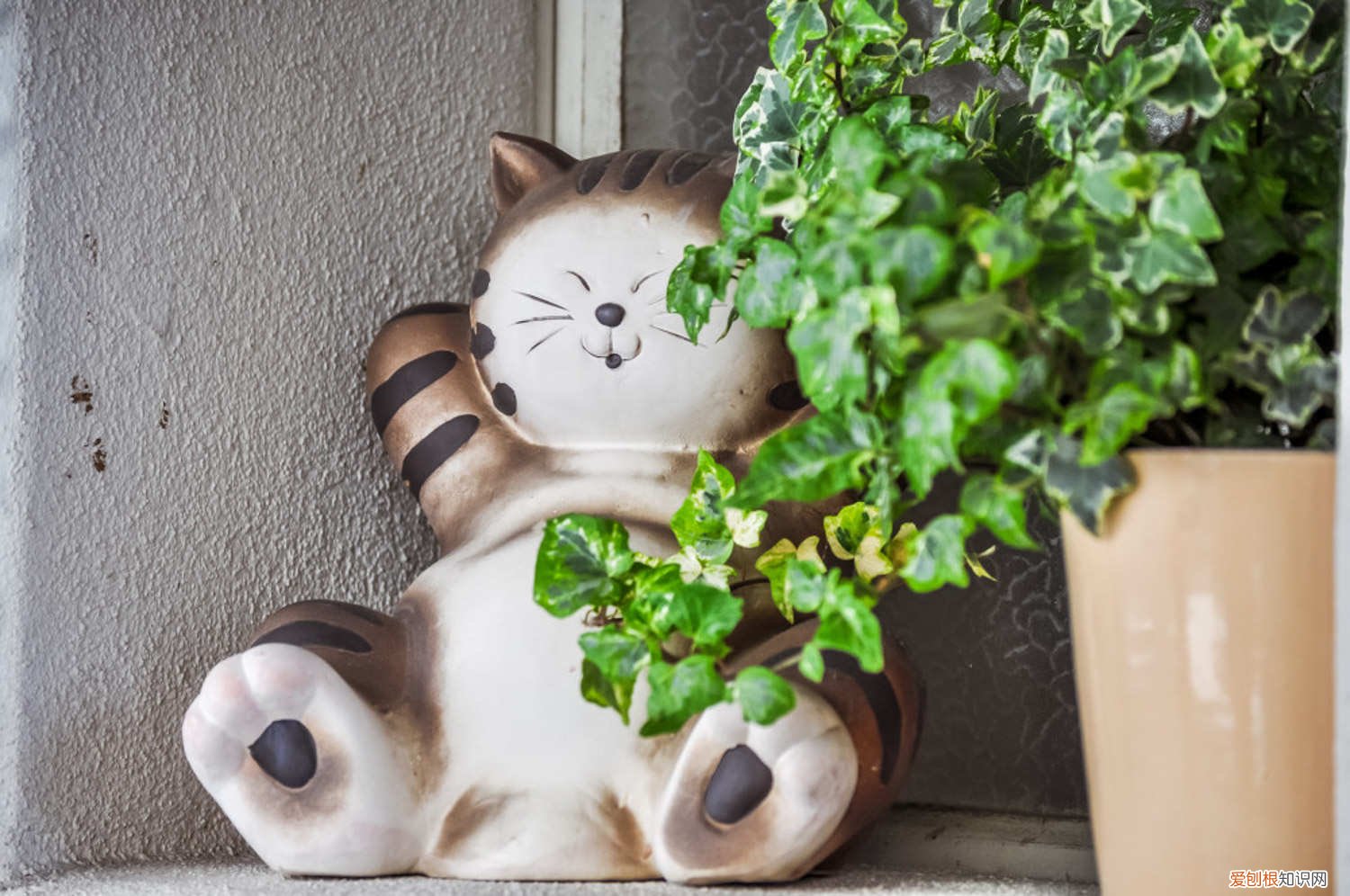 常春藤叶子发黄 常春藤黄叶子怎么办