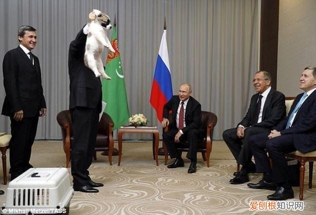 硬汉普京养的狗 硬汉普京的狗是什么品种