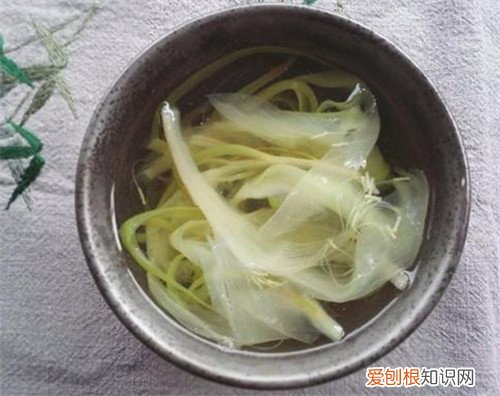 昙花可以吃吗 昙花有哪些价值