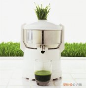 小麦草榨汁机好吗 榨出来的草汁有什么用
