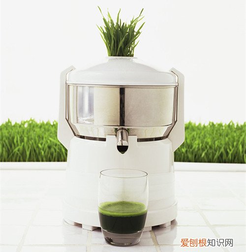 小麦草榨汁机好吗 榨出来的草汁有什么用