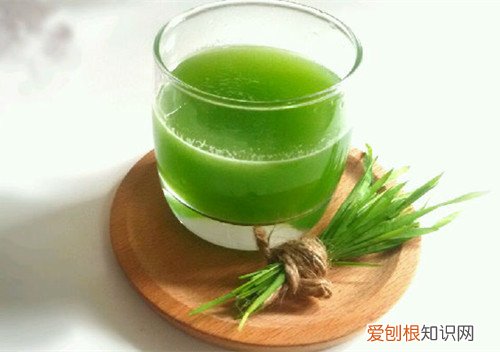 小麦草榨汁机好吗 榨出来的草汁有什么用