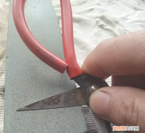 该怎么磨剪刀，手工磨剪刀的正确方法视频