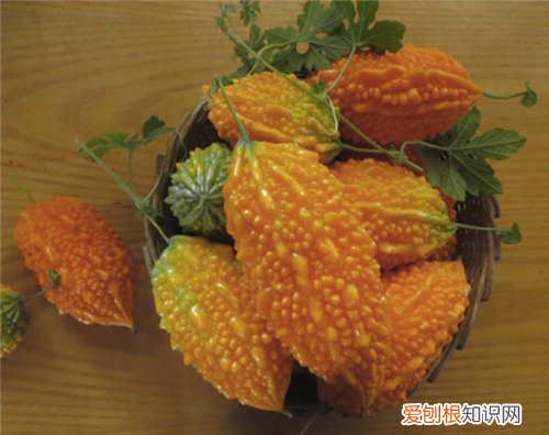 金铃子的功效和作用金铃子的食用方法