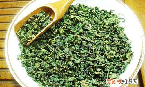 桑叶茶的功效桑叶茶的冲泡方法
