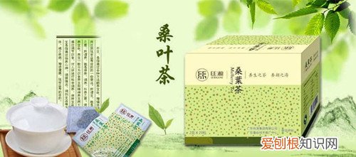 桑叶茶的功效桑叶茶的冲泡方法