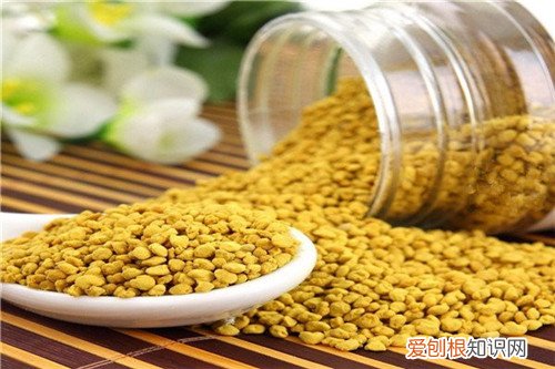 油菜花粉的功效及服用注意事项 前列腺患者不能不知