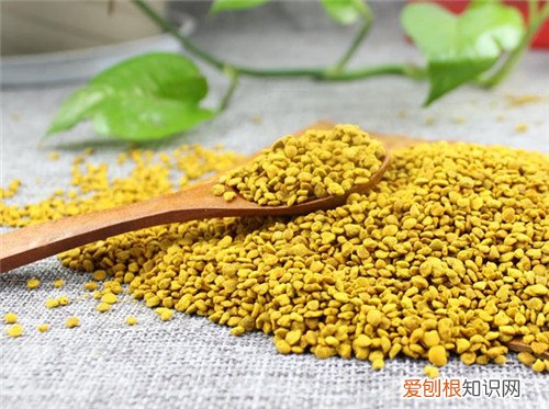 油菜花粉的功效及服用注意事项 前列腺患者不能不知