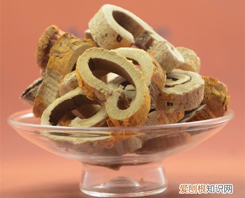 桑树根皮有什么价值 是真的能治疗脱发吗