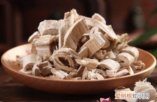 桑树根皮有什么价值 是真的能治疗脱发吗