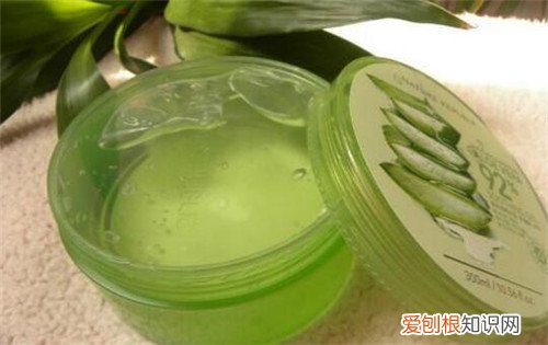芦荟胶的用法有哪些 7大方法教你正确使用芦荟胶