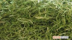 山蜜草的功效与作用大盘点 山蜜草一般多少钱