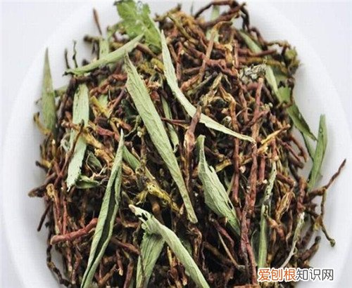 山蜜草的功效与作用大盘点 山蜜草一般多少钱