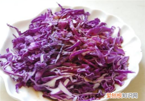 甘蓝菜的功效有哪些甘蓝菜和包菜的区别有哪些