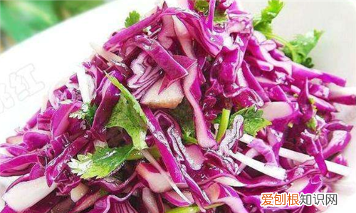 甘蓝菜的功效有哪些甘蓝菜和包菜的区别有哪些