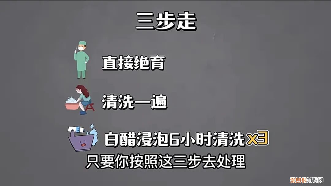 小红书做宠物账号怎么样赚钱，账号拆解｜小红书萌宠博主粉丝量15万+宠物账号如何快速涨粉变现