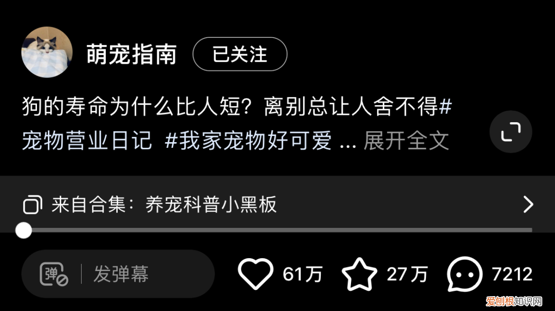小红书做宠物账号怎么样赚钱，账号拆解｜小红书萌宠博主粉丝量15万+宠物账号如何快速涨粉变现
